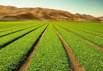 Acelera el negocio de agro