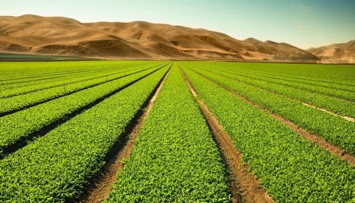 Acelera el negocio de agro