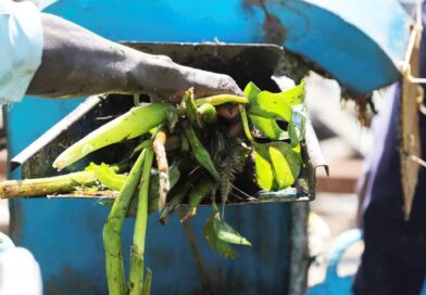 Biocombustibles: avanza una nueva ley que busca desregular el mercado