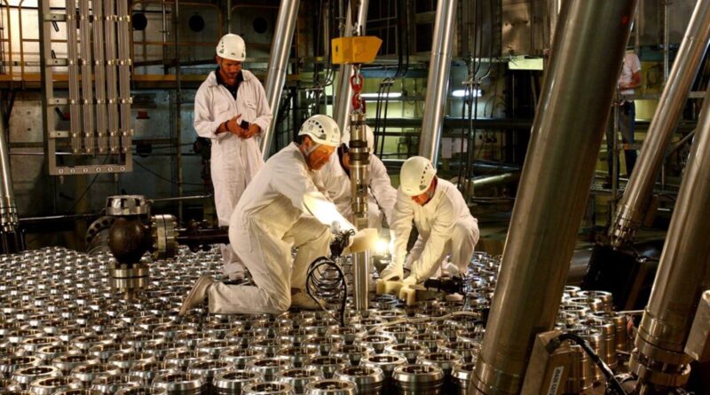 Los canales gastados retirados del reactor de la central nuclear Atucha I