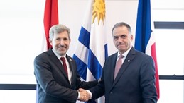 Uruguay estudia relocalizar planta de hidrógeno verde en Paysandú