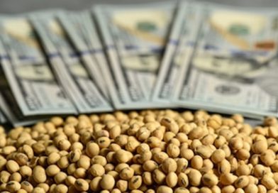 La suba de fertilizantes, del petróleo y de los biocombustibles, reconfigura la siembra global