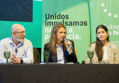 Gasoducto clave para conectar Vaca Muerta con proyectos de GNL en la costa atlántica
