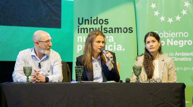 Gasoducto clave para conectar Vaca Muerta con proyectos de GNL en la costa atlántica