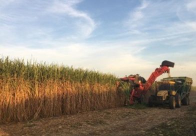En plena zafra azucarera advierten por una norma  sobre el abastecimiento de gas natural