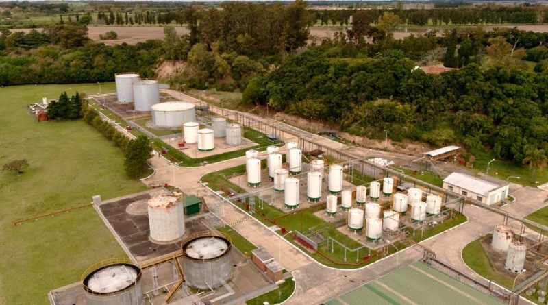 Los biocombustibles