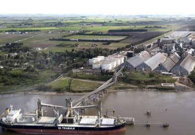 El Parlamento Europeo sacó de la lista negra al biodiesel de soja 