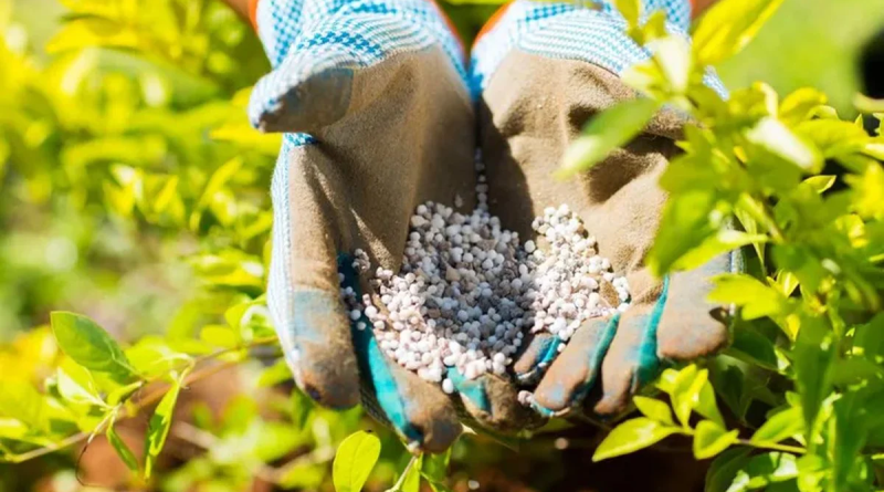 Argentina producirá toneladas de urea destinadas a Brasil